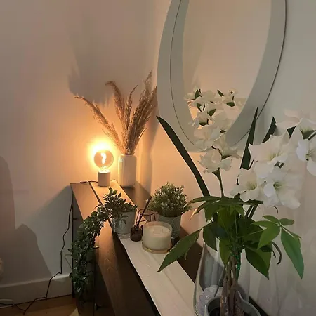 New 1 Bed 12 Mins To London And Gatwick Airport Croydon