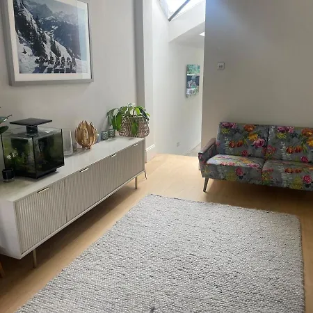 Modern Spacious Place