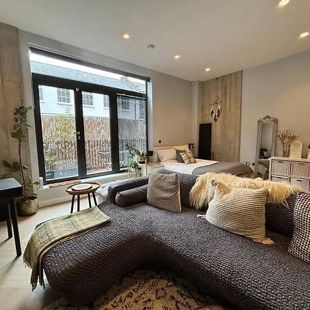 Apartment Stylish In Hackney With Private Terrace London