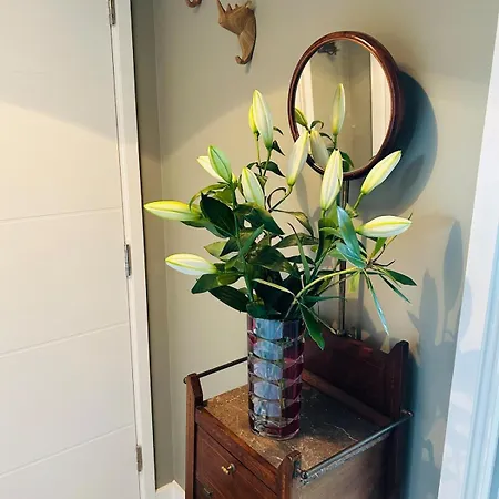 Apartamento Cosy Flat In New Malden, London Kingston upon Thames (Greater London)