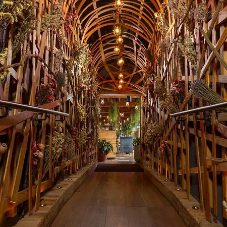 Treehouse Hotel