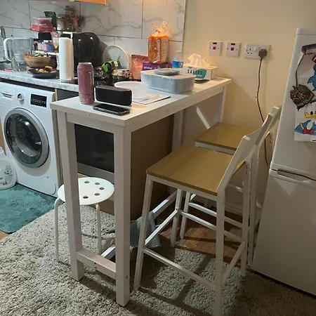 Guest house Mita Flat London