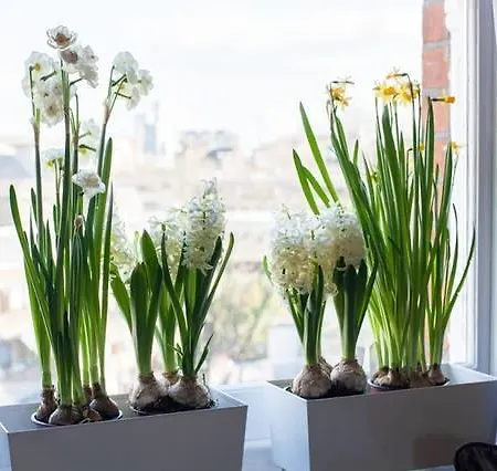 Sabellis House - Moments From The Big Ben London