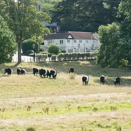 Inn Rose Of York *