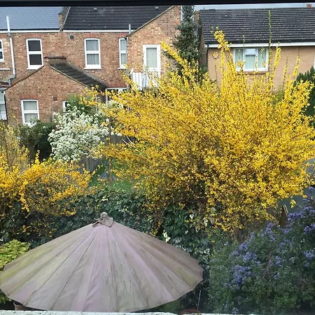 Catford Homestay szállás *