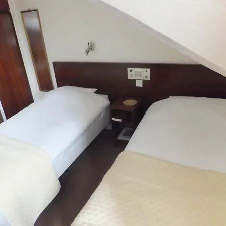 Guest house White 3*