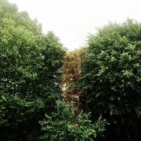 Holland Park Lifestyle