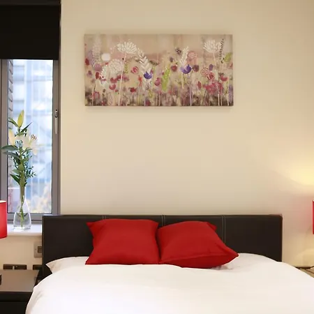 Valet Wembley Apartment Wembley