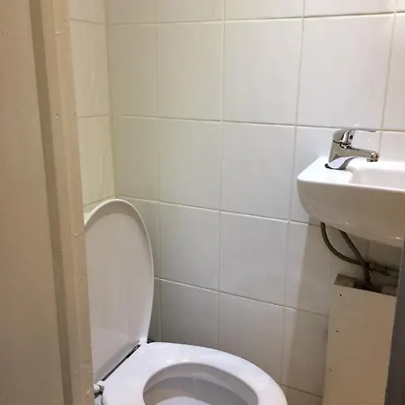 葡萄藤酒店 2* 伦敦