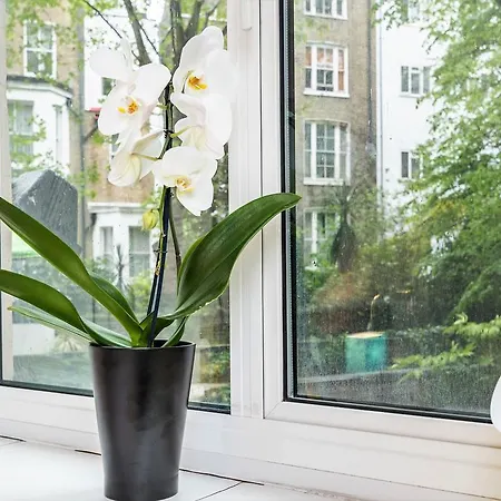 Lux South Kensington