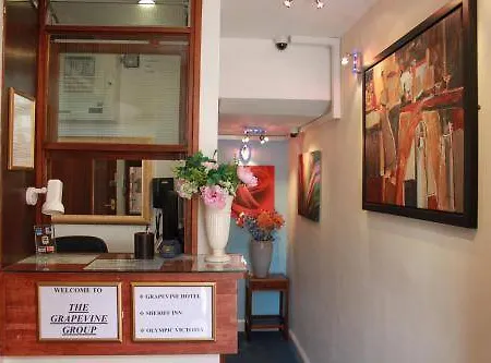 葡萄藤酒店 酒店 伦敦