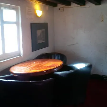 Mary Rose 2* Orpington
