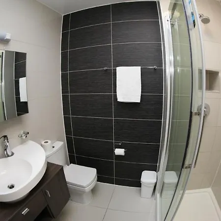 Ascott Mayfair *