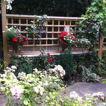 White Guest house 3*