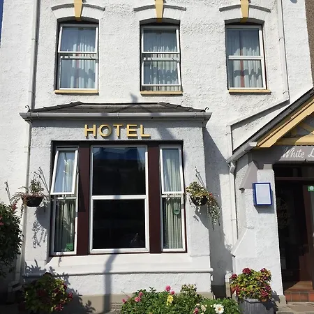 White Guest house 3*