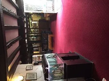 Hotel Mary Rose 2*