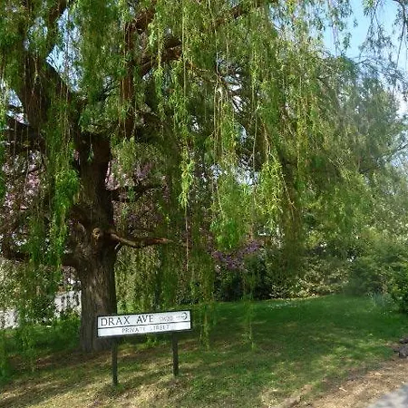 Bed & Breakfast Forest