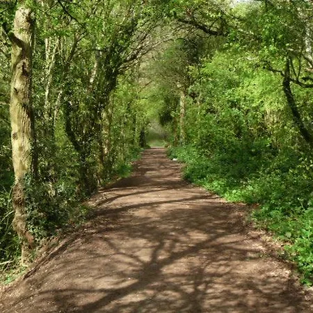 Forest London