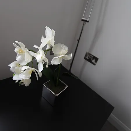 Apartment Bluegreen *