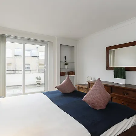 Paddington Polka Daire