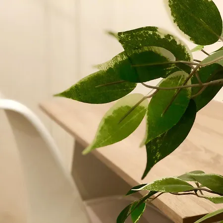 Holland Park Lifestyle Apartment