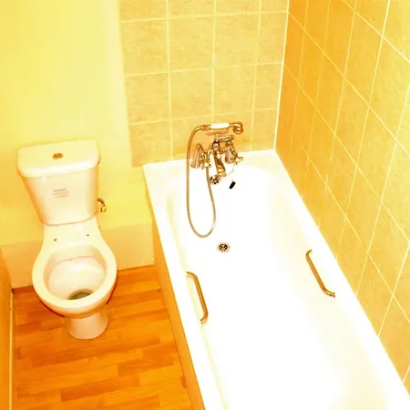 Hotel Heathrow 3*