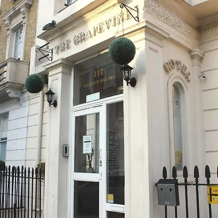 葡萄藤酒店 2*