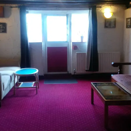 Mary Rose 2* Orpington