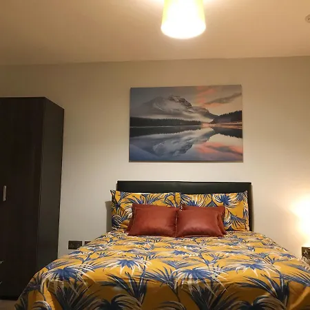 Elegant Plus