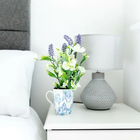 Skyvillion - Cozy In Town With Free Parking & Wifi Enfield