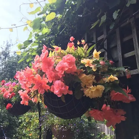 38 Whitehall Road Bed & Breakfast 3*
