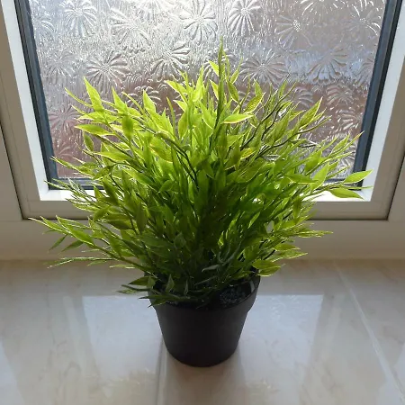 Wembley Homestay * London