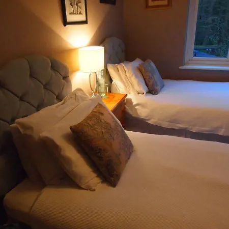 Homestay Friendly In South London Raynes Park