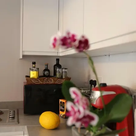 Marleybone Victorian Apartment