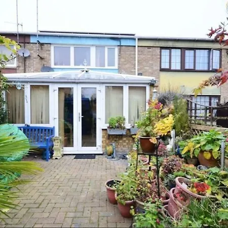 Oasis 77 *