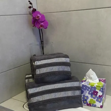Affordable Lux And Cozy 1 Bed Flat In Chelsea * לונדון