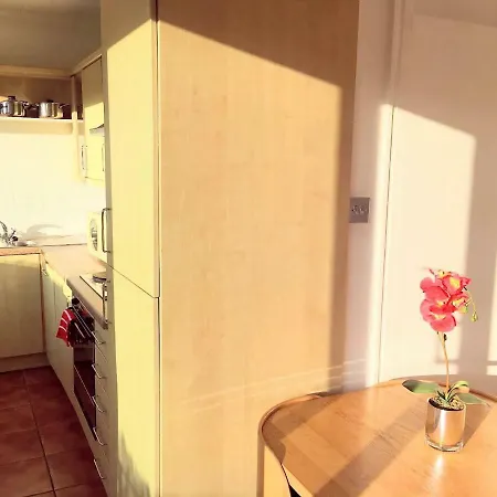 Elegant W1 Penthouse W Terrace Nr Oxford St W Helpful Informative Host