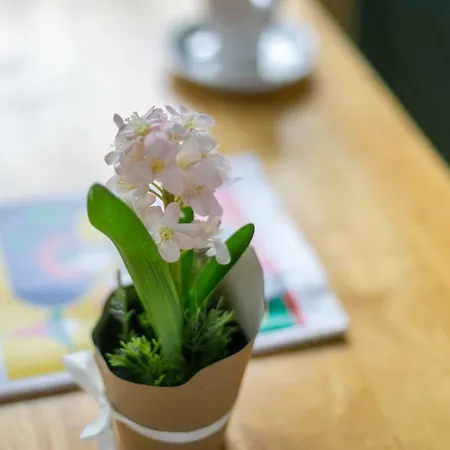 Tcla - Clapham / Battersea Guest house London