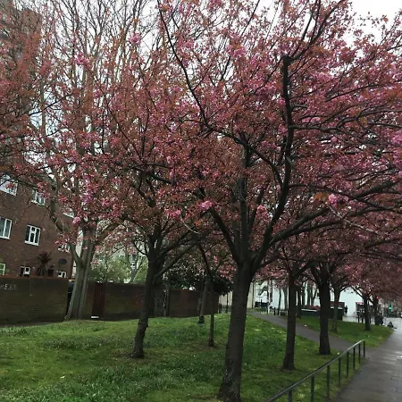 Al Iram Guest house London