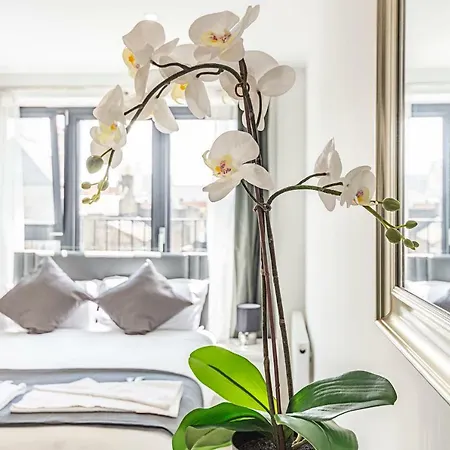 Modern Canary Wharf Apartment London
