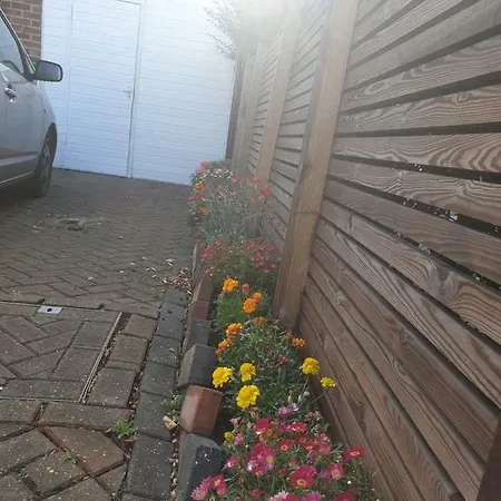 Private Extension With Bathroom And Kitchen London