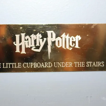Apartment Harry Potter Cupboard