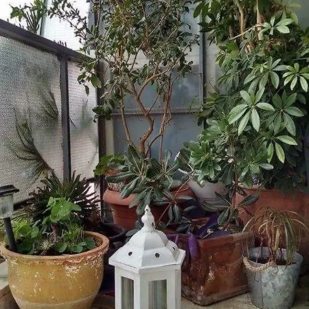36 Panagi Tsaldari Apartment