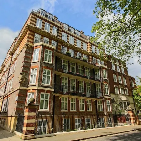 Hotel Rochester By Blue Orchid
