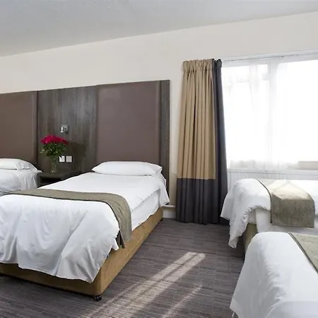 Lily Hotel