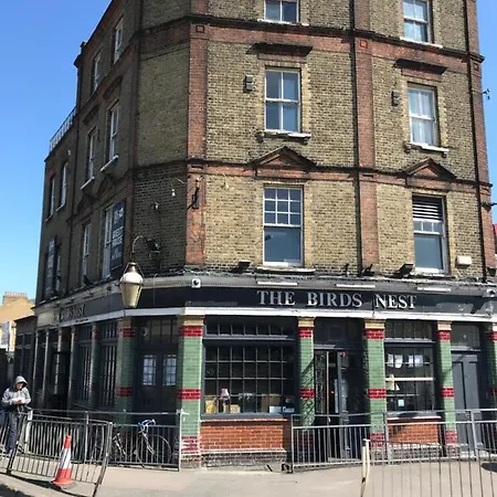 The Birds Nest London