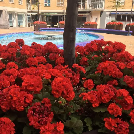 Homestay Adriatic Building London