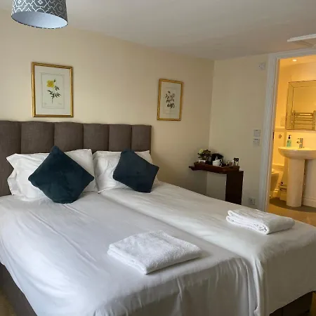 Guest house Black Lion Surbiton