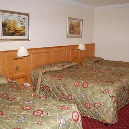 Viking Hotel 2*