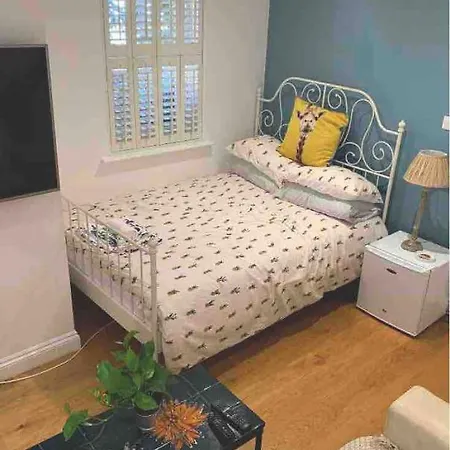 Homestay Stylish Modern Studio, Mock Georgian House, Heart Of Trendy Hackney &